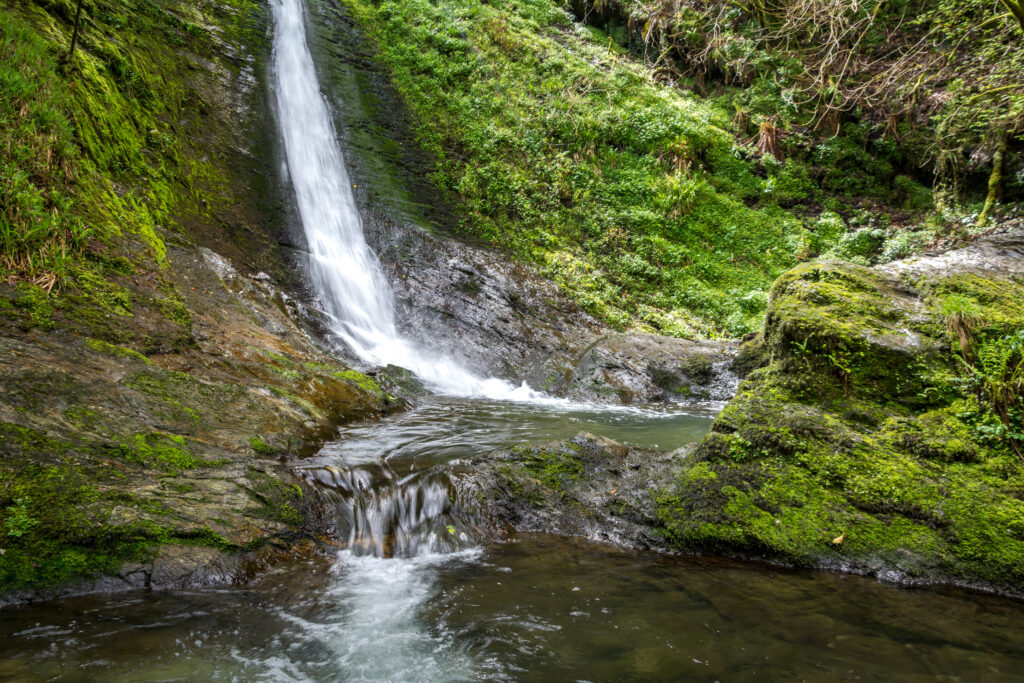 Photo © National Trust/Dianne Giles, Rose Cooke